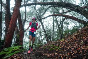 BIB: 
                            <button type="button" onclick="openModal(26343883)" class="btn btn-primary btn-sm float-right btn-popup" data-toggle="modal" data-target=".modal-high-quality">
                        <i class="fas fa-shopping-cart"></i> Add to Cart
                    </button>
                                            <button type="button" onclick="isThisMe(26343883, true)" class="btn btn-success btn-sm float-right btn-popup btn-isme hidden" data-toggle="tooltip" data-placement="bottom" title="นี่คือรูปของคุณใช่ไหม คลิกที่นี่เพื่อเอาเข้าอัลบั้ม">
                        <i class="fas fa-plus"></i> Add to album
                    </button>
                    <button type="button" onclick="isThisMe(26343883, false)" class="btn btn-warning btn-sm float-right btn-popup btn-isnotme hidden">
                        <i class="fas fa-ban"></i> Remove from album
                    </button>